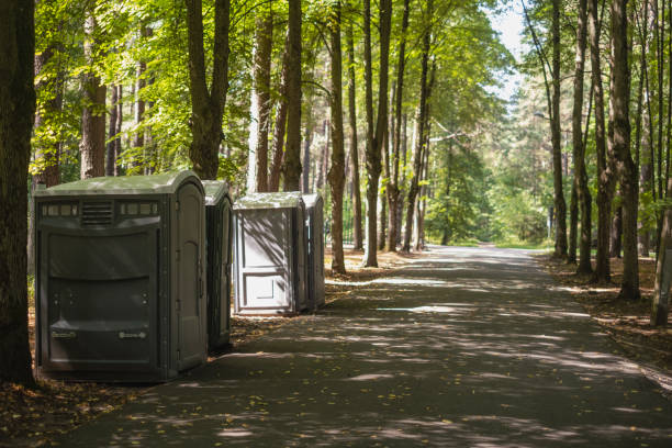Best Affordable portable toilet rental  in Hamlin, WV